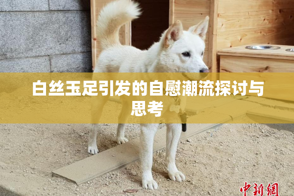 白丝玉足引发的自慰潮流探讨与思考