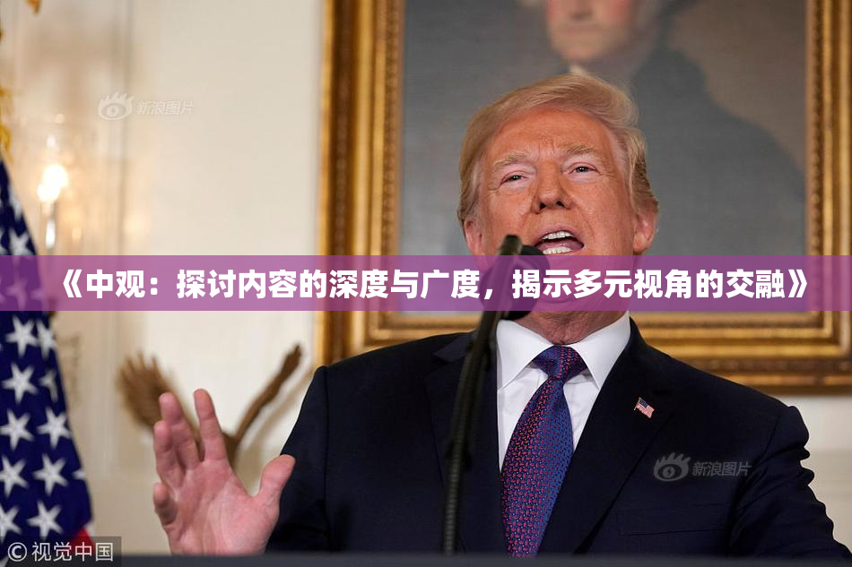 《中观：探讨内容的深度与广度，揭示多元视角的交融》