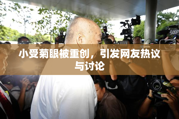 小受菊眼被重创，引发网友热议与讨论