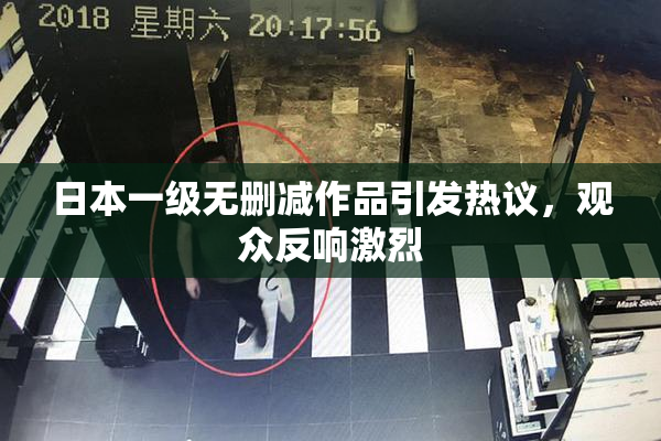日本一级无删减作品引发热议，观众反响激烈