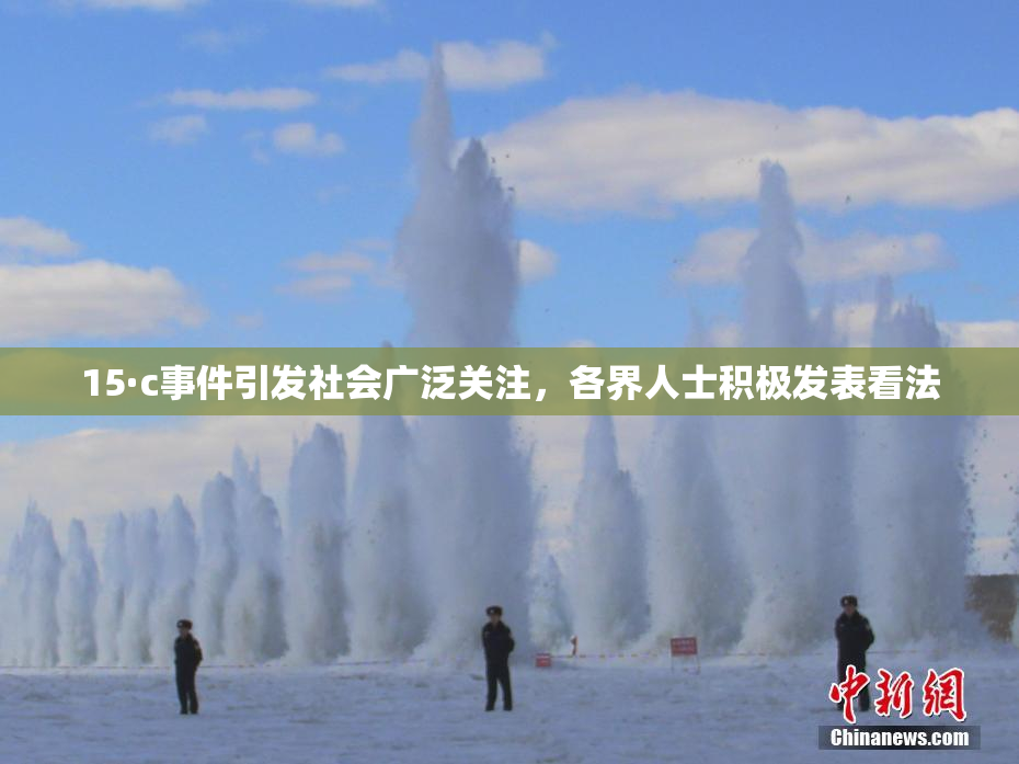 15·c事件引发社会广泛关注，各界人士积极发表看法