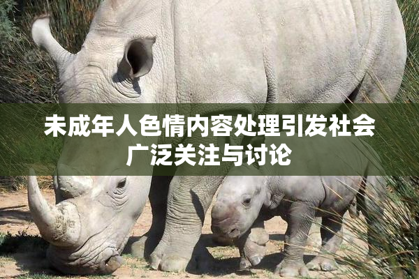 未成年人色情内容处理引发社会广泛关注与讨论
