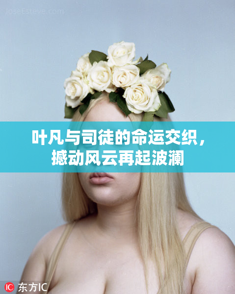 叶凡与司徒的命运交织，撼动风云再起波澜