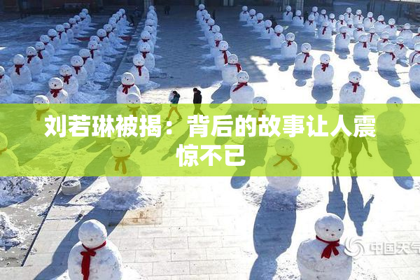 刘若琳被揭：背后的故事让人震惊不已
