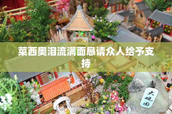 菜西奥泪流满面恳请众人给予支持