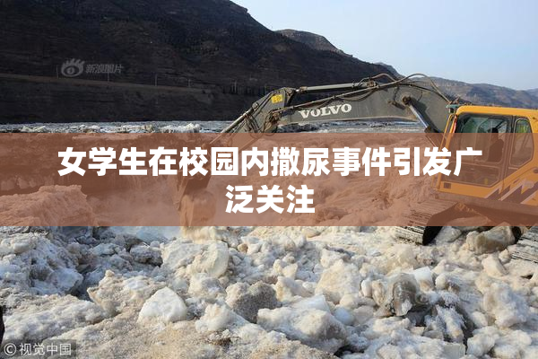 女学生在校园内撒尿事件引发广泛关注