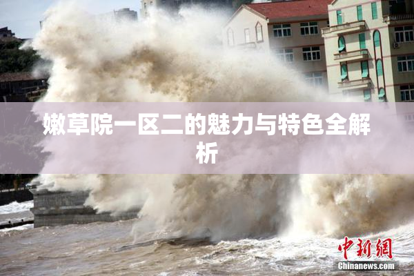 嫩草院一区二的魅力与特色全解析