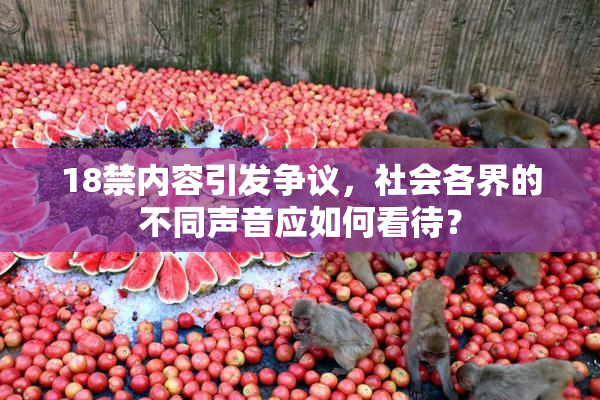 18禁内容引发争议，社会各界的不同声音应如何看待？