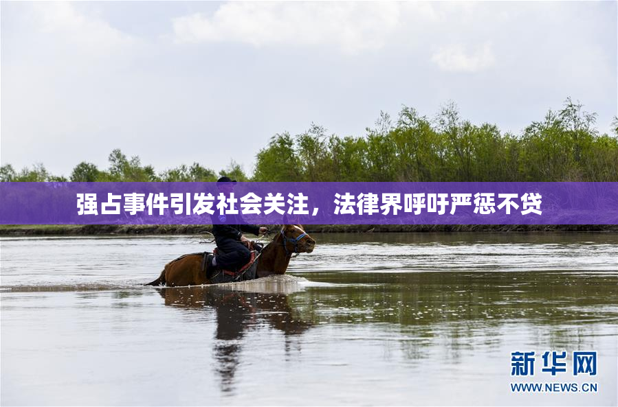 强占事件引发社会关注，法律界呼吁严惩不贷