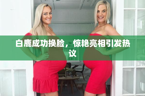 白鹿成功换脸，惊艳亮相引发热议