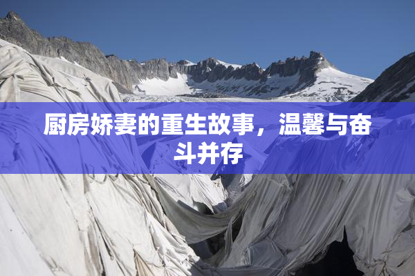 厨房娇妻的重生故事，温馨与奋斗并存