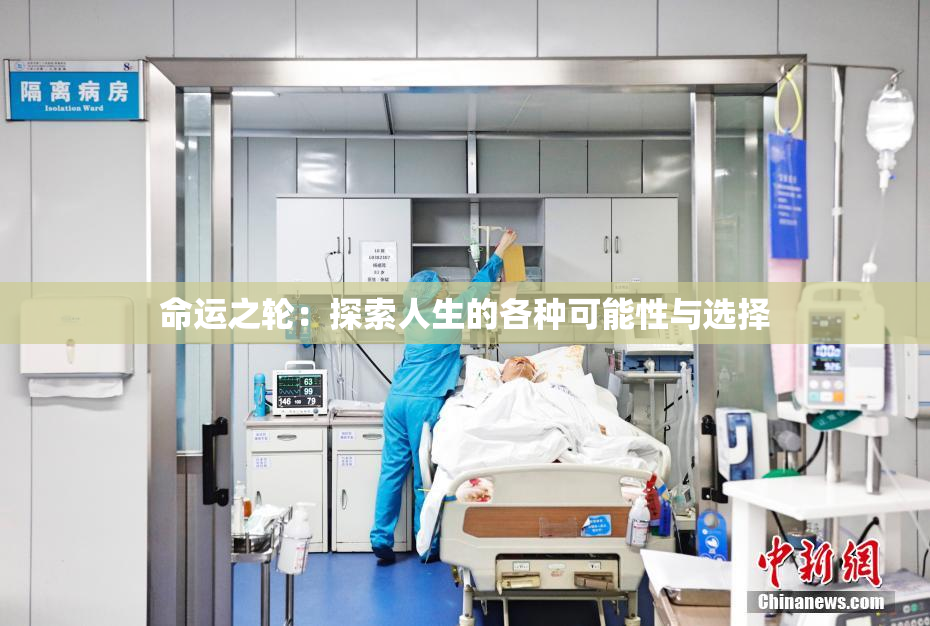 命运之轮：探索人生的各种可能性与选择