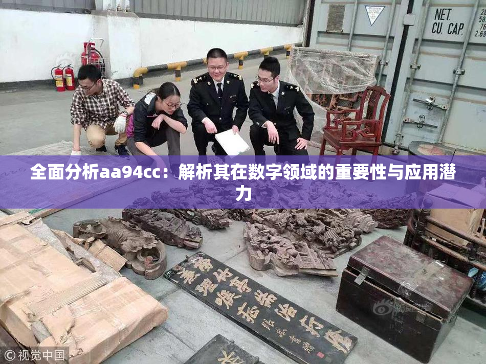 全面分析aa94cc：解析其在数字领域的重要性与应用潜力