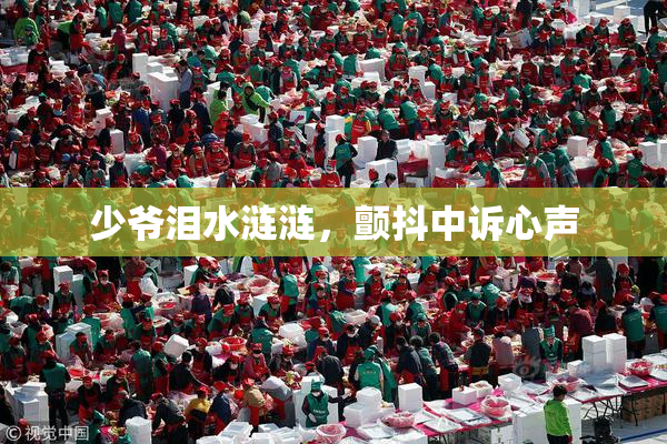 少爷泪水涟涟，颤抖中诉心声