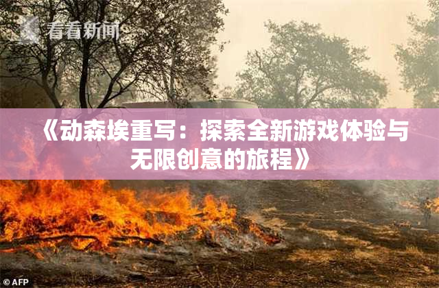 《动森埃重写：探索全新游戏体验与无限创意的旅程》