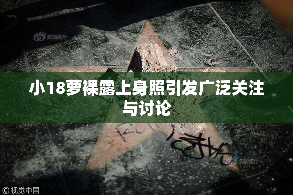 小18萝裸露上身照引发广泛关注与讨论