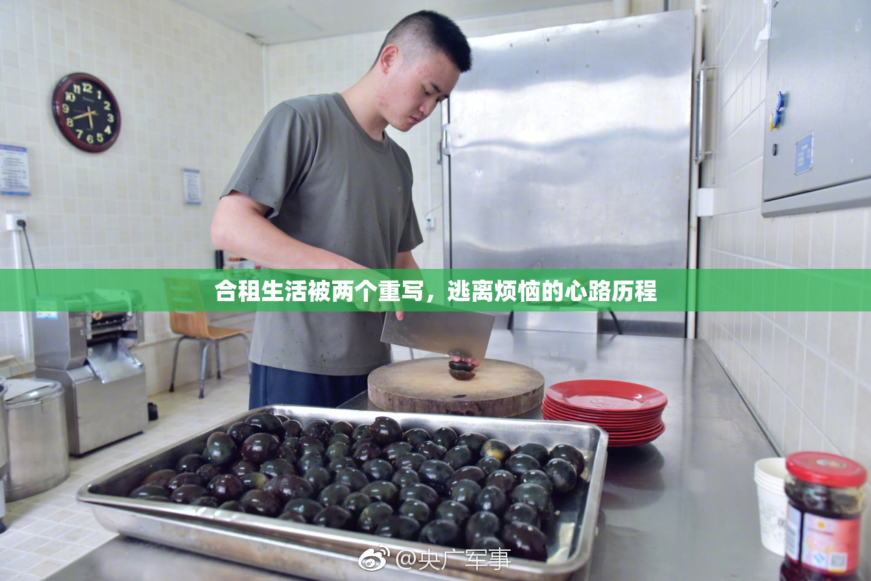 合租生活被两个重写，逃离烦恼的心路历程