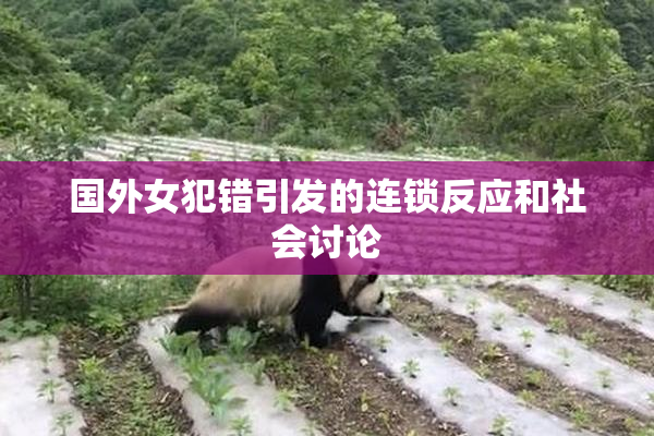 国外女犯错引发的连锁反应和社会讨论