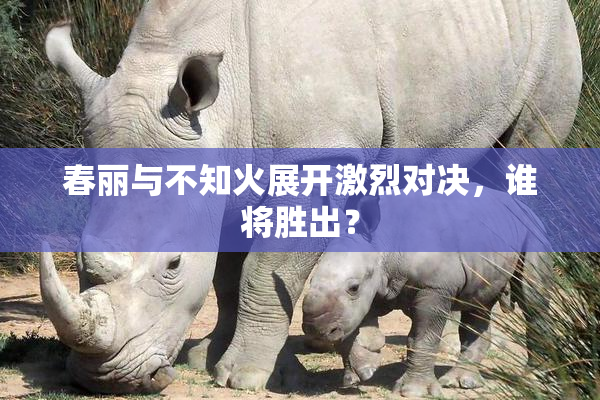春丽与不知火展开激烈对决，谁将胜出？
