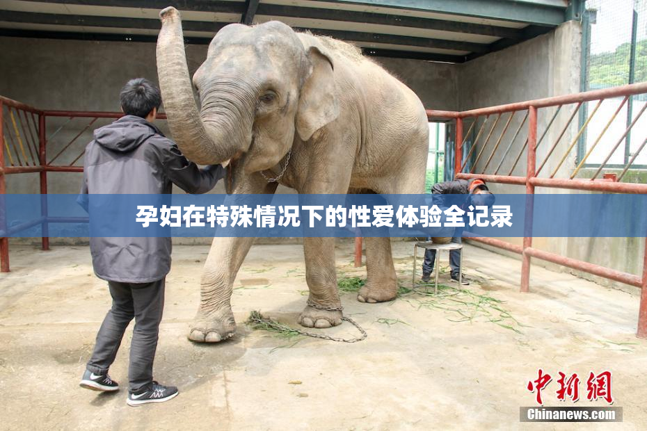 孕妇在特殊情况下的性爱体验全记录