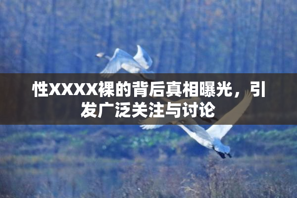 性XXXX裸的背后真相曝光，引发广泛关注与讨论