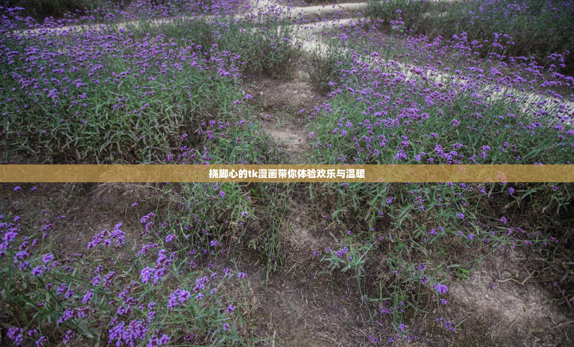 挠脚心的tk漫画带你体验欢乐与温暖
