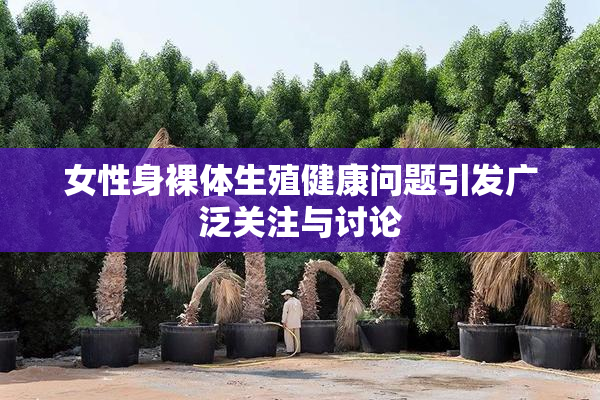 女性身裸体生殖健康问题引发广泛关注与讨论