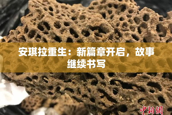 安琪拉重生：新篇章开启，故事继续书写