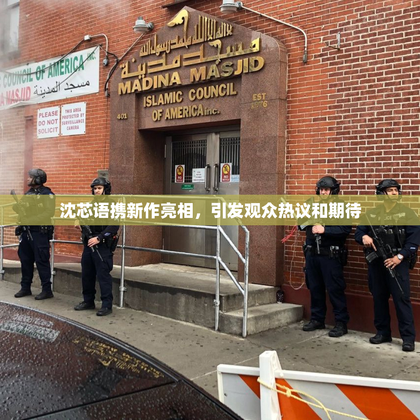 沈芯语携新作亮相，引发观众热议和期待