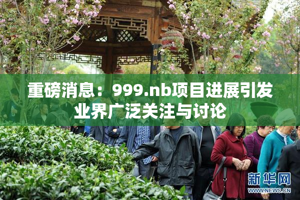 重磅消息：999.nb项目进展引发业界广泛关注与讨论