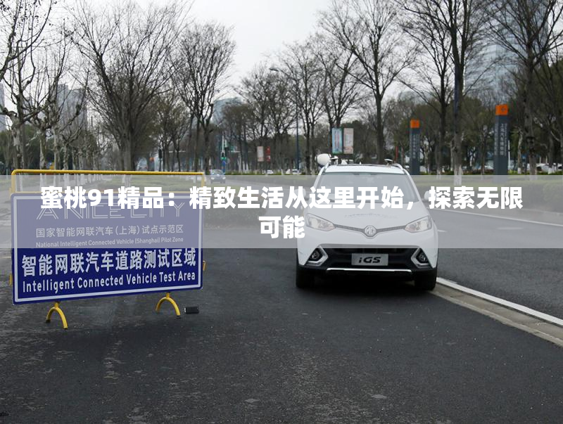 蜜桃91精品：精致生活从这里开始，探索无限可能