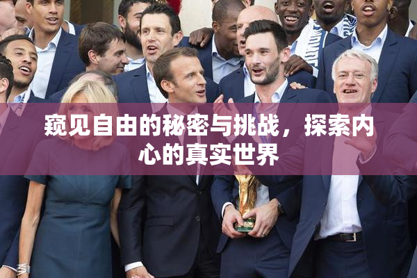 窥见自由的秘密与挑战，探索内心的真实世界