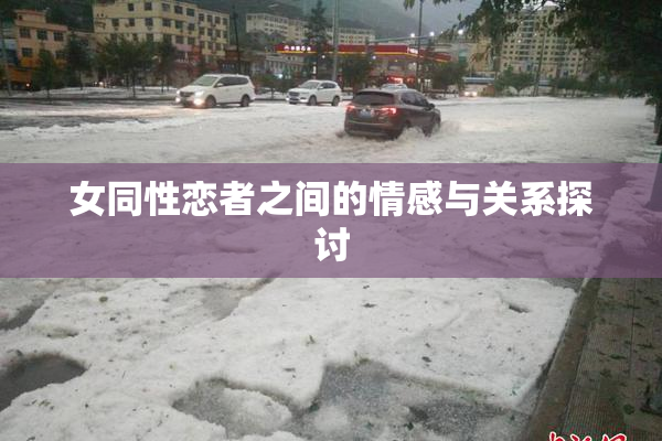 女同性恋者之间的情感与关系探讨