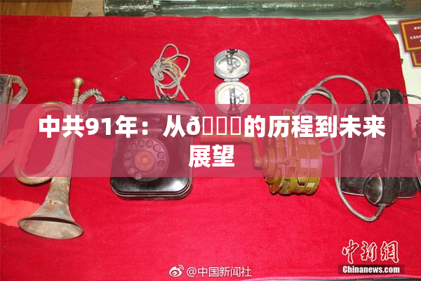 中共91年：从🍆的历程到未来展望