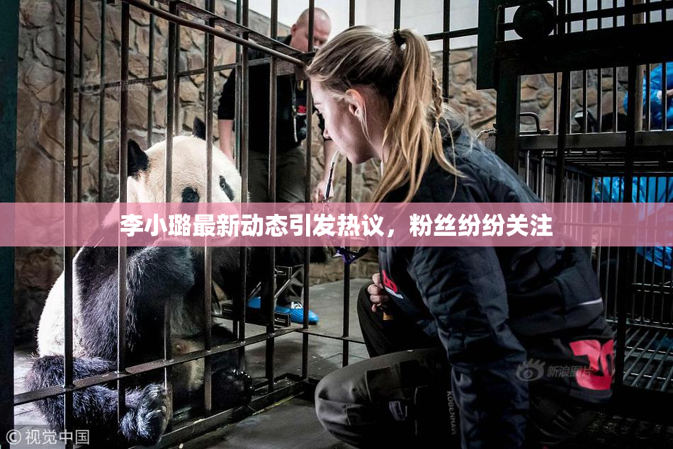李小璐最新动态引发热议，粉丝纷纷关注