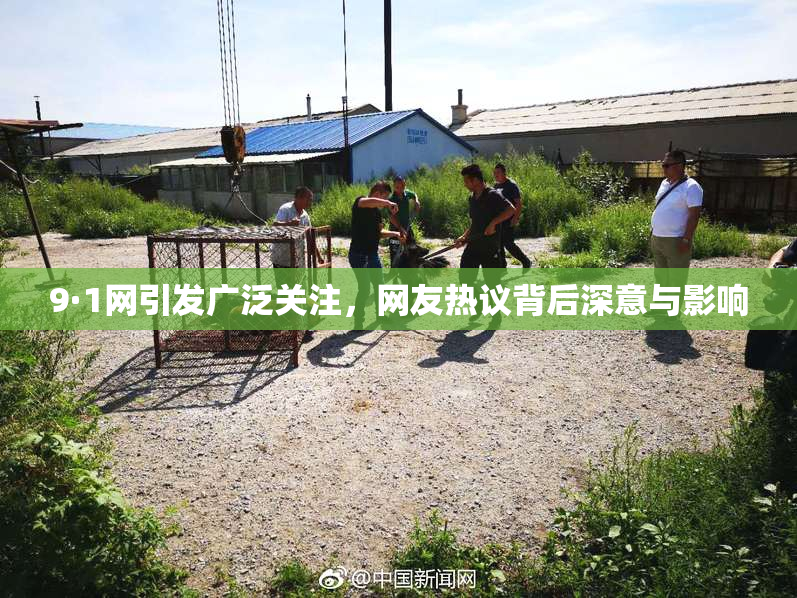 9·1网引发广泛关注，网友热议背后深意与影响