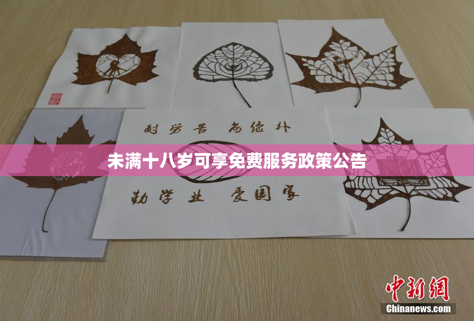 未满十八岁可享免费服务政策公告