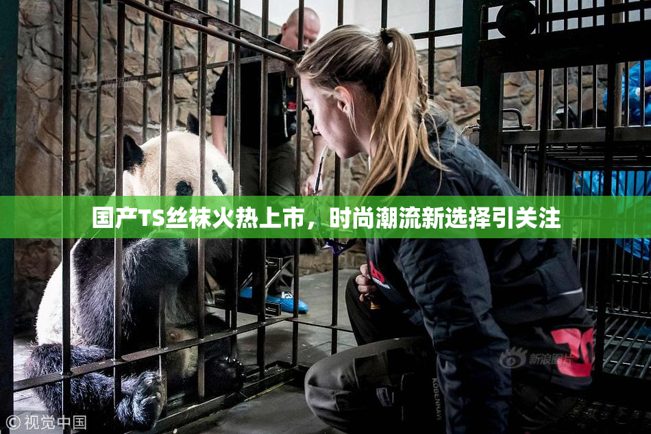 国产TS丝袜火热上市，时尚潮流新选择引关注
