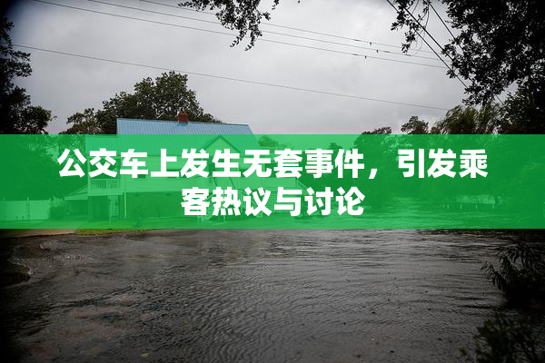 公交车上发生无套事件，引发乘客热议与讨论