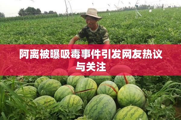 阿离被曝吸毒事件引发网友热议与关注