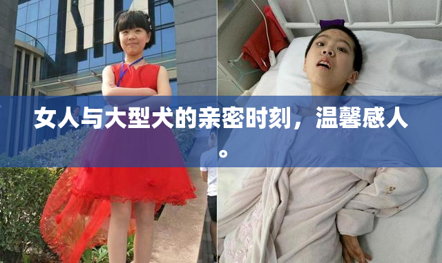 女人与大型犬的亲密时刻，温馨感人。