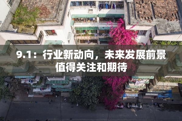 9.1：行业新动向，未来发展前景值得关注和期待