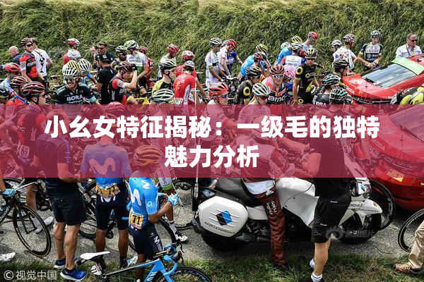 小幺女特征揭秘：一级毛的独特魅力分析