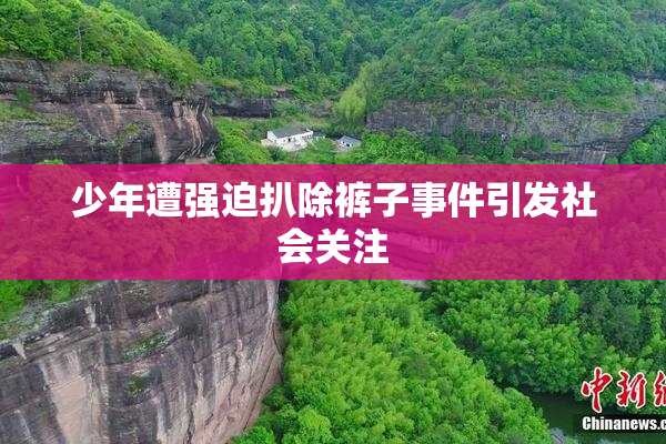 少年遭强迫扒除裤子事件引发社会关注