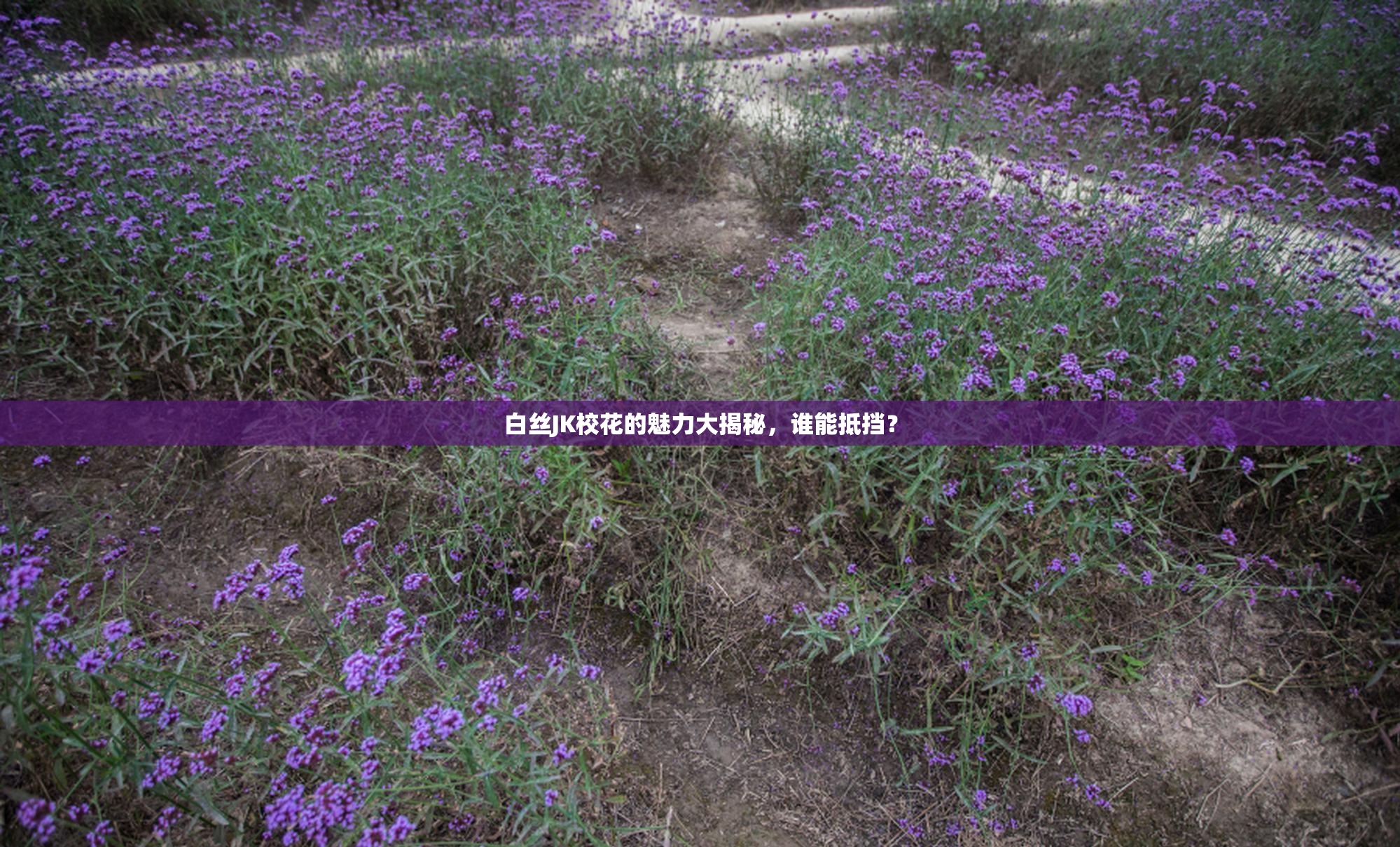 白丝JK校花的魅力大揭秘，谁能抵挡？
