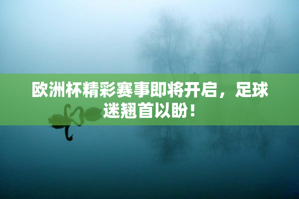 欧洲杯精彩赛事即将开启，足球迷翘首以盼！