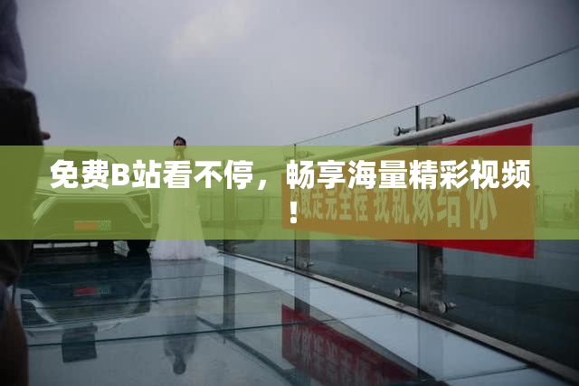 免费B站看不停，畅享海量精彩视频！