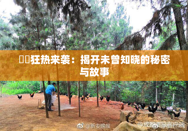 ❌‌狂热来袭：揭开未曾知晓的秘密与故事