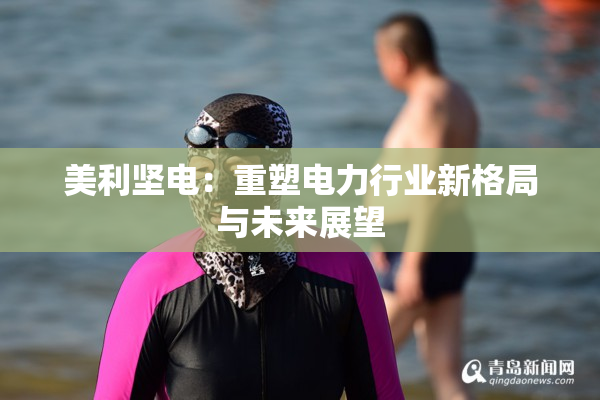 美利坚电：重塑电力行业新格局与未来展望