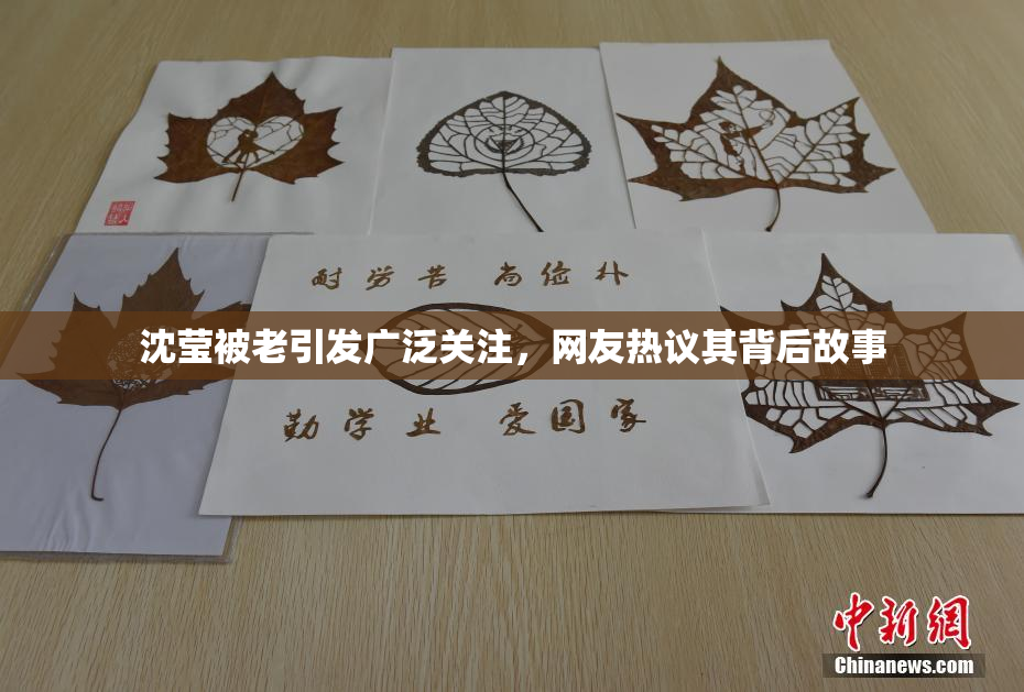 沈莹被老引发广泛关注，网友热议其背后故事